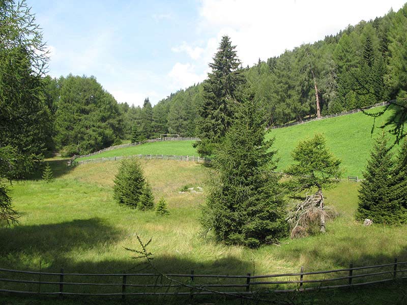 hochschober